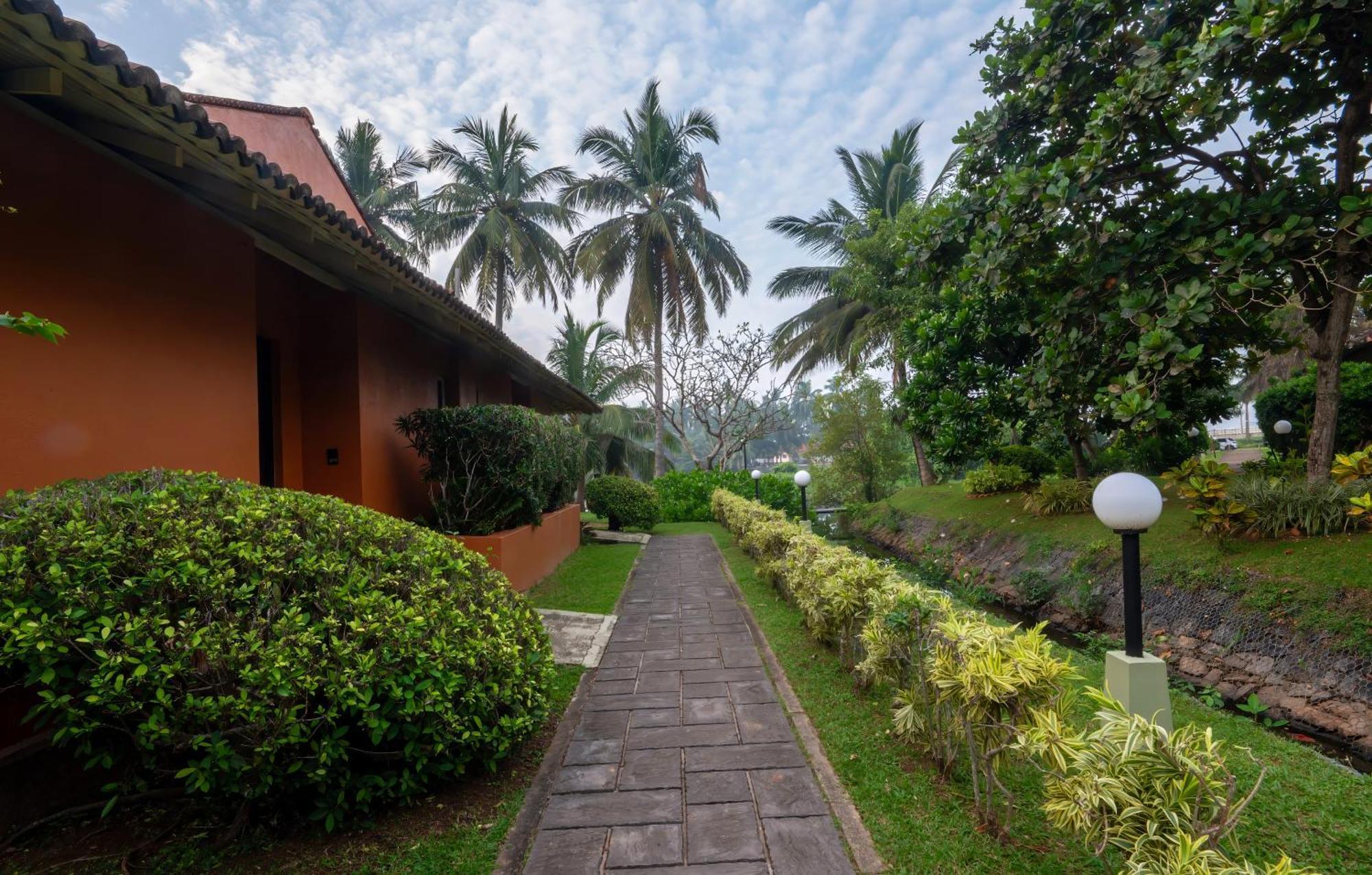 Club Palm Bay Hotel Marawila Eksteriør billede