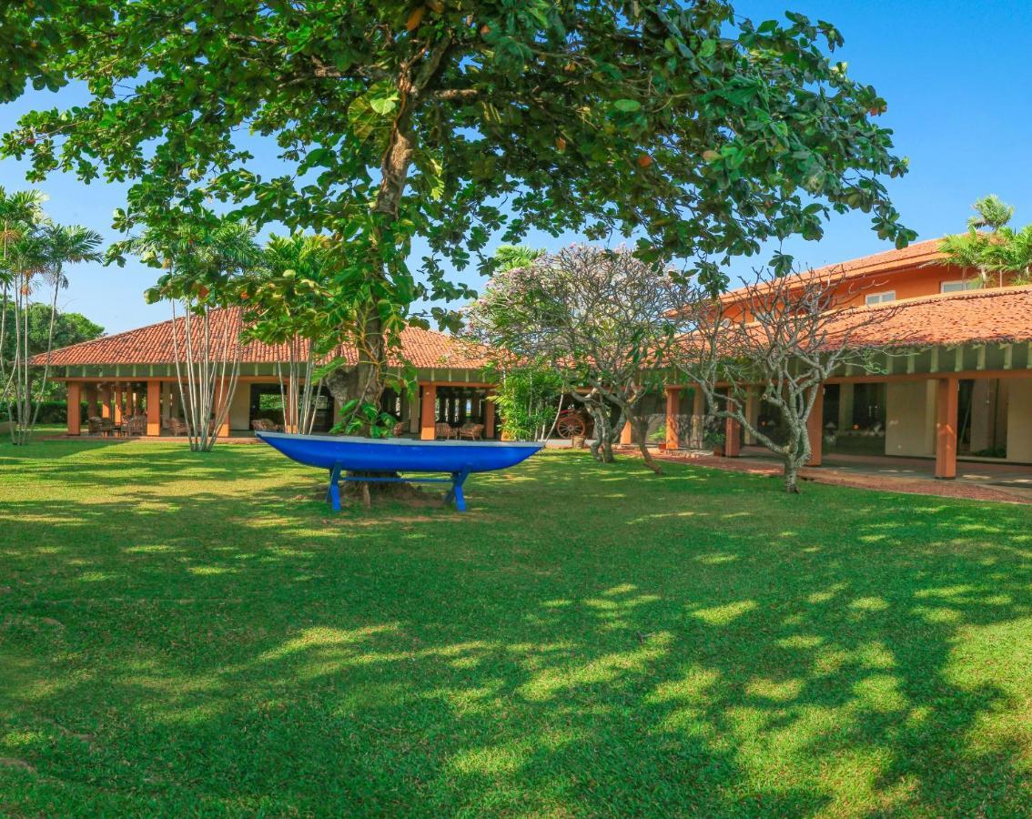Club Palm Bay Hotel Marawila Eksteriør billede